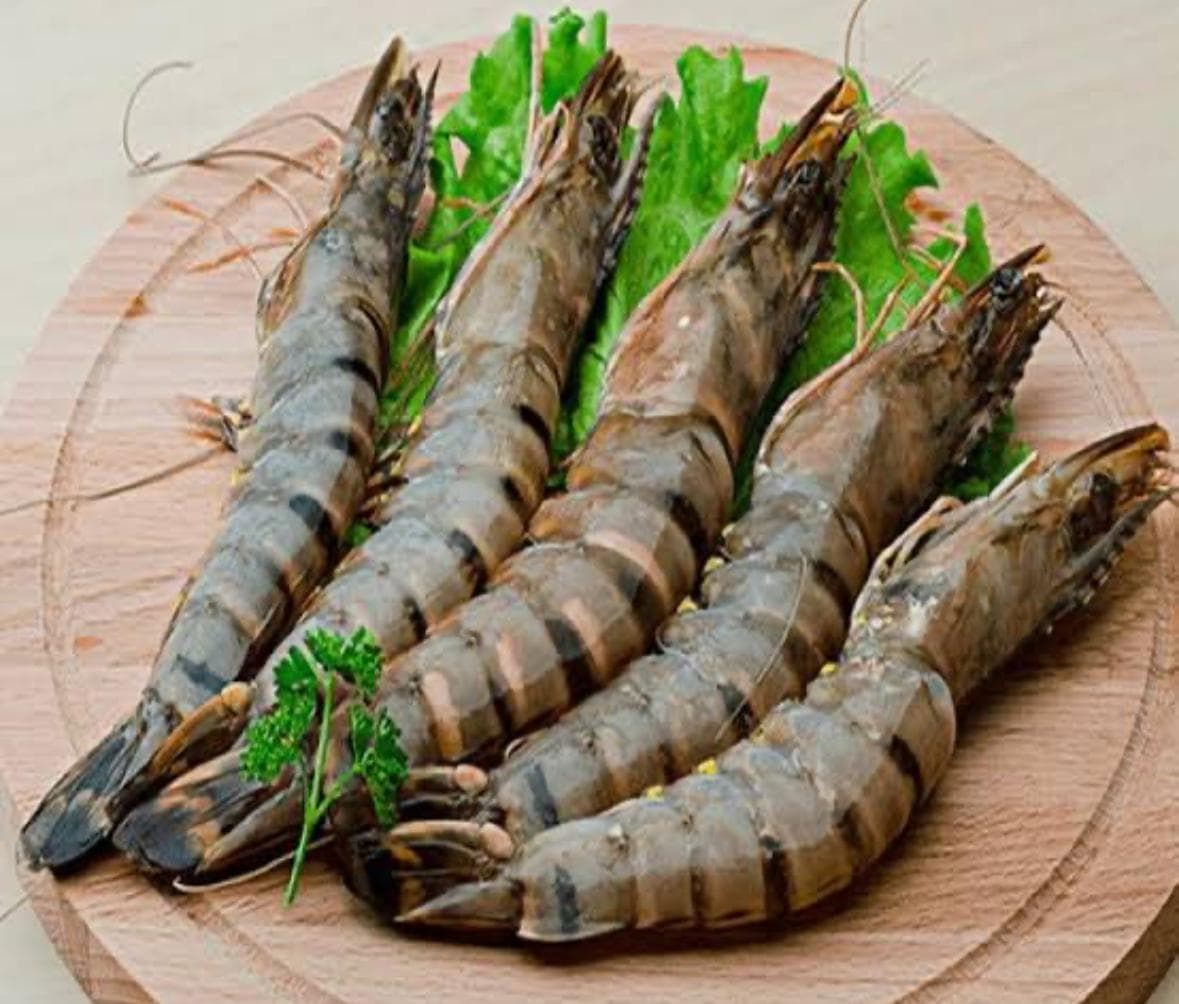 Black Tiger Prawns